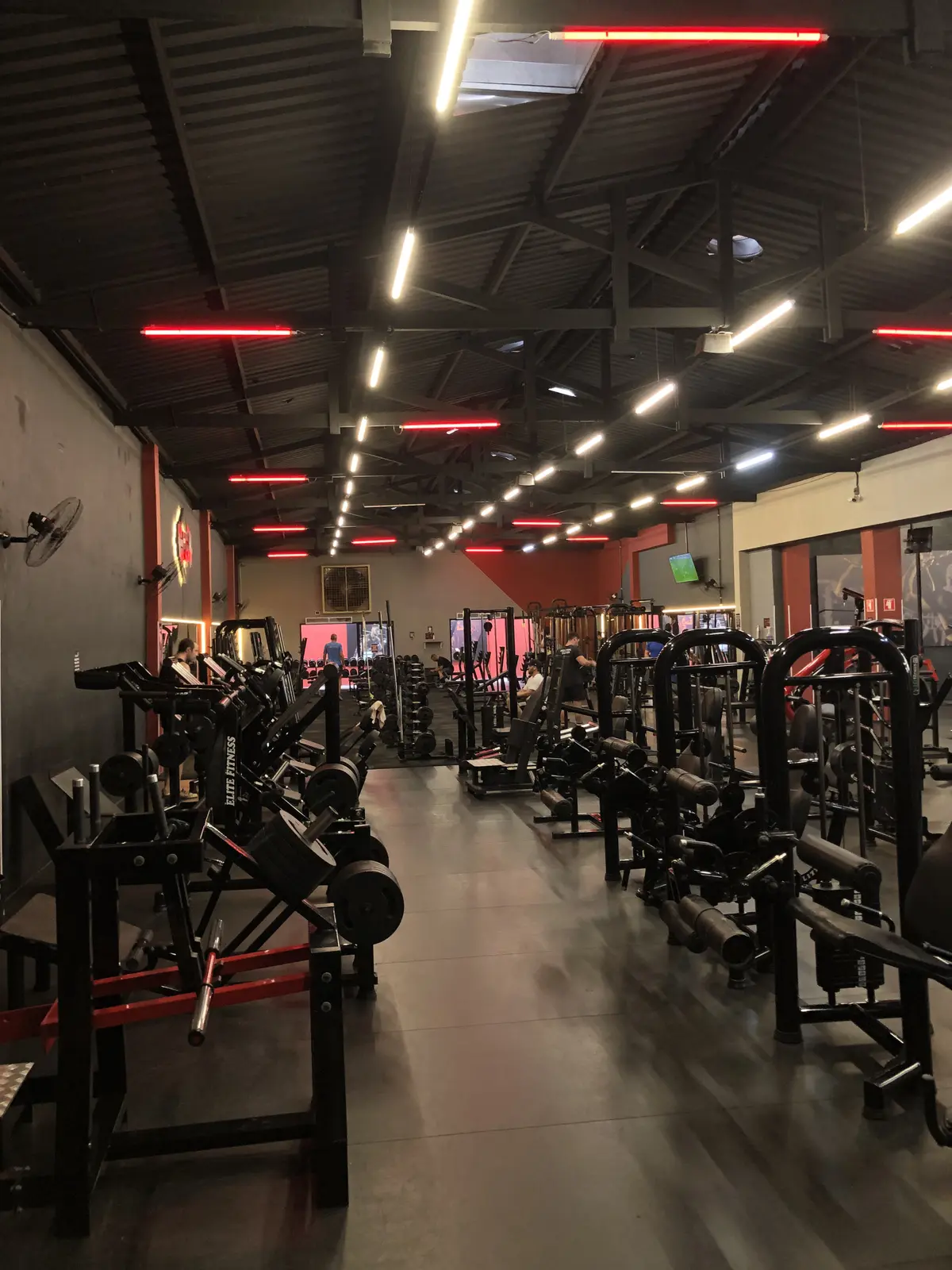 Galeria Triunfo 5